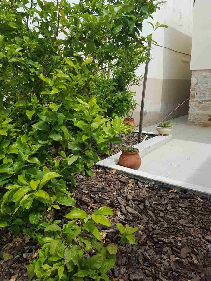 Mangoseaview Home1 Nea Roda Ngoại thất bức ảnh